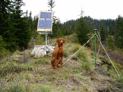 GPS station BIVO